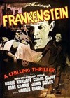 Frankenstein (1931)2.jpg